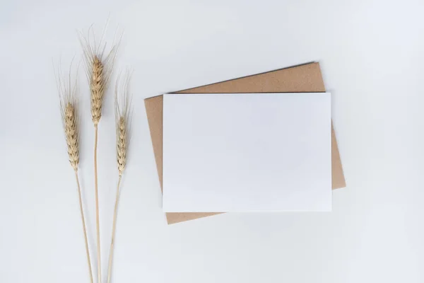 Blank White Paper Brown Paper Envelope Barle Dry Flower Mock — Stock Photo, Image