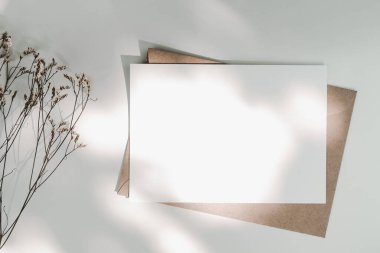 Limonyum kuru çiçek ve güneş ışığıyla birlikte kahverengi kağıt zarfın üzerine boş beyaz kağıt. Yatay boş tebrik kartının bir kopyası. Beyaz arkaplandaki kağıt zarfın üst görüntüsü. Dümdüz uzanır
