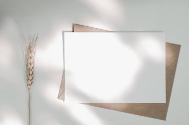 Kahverengi kağıt zarfın üzerine boş beyaz kağıt. Arpa çiçeği ve güneş ışığı. Yatay boş tebrik kartının bir kopyası. Beyaz arkaplandaki kağıt zarfın üst görüntüsü. Dümdüz uzanır