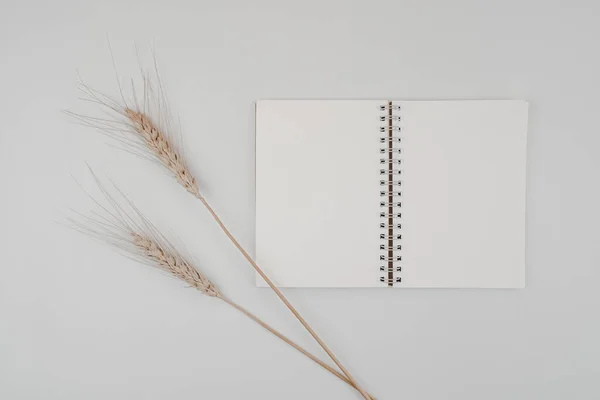Blank spiral bound sketchbook or journal diary with Barley dry flower. Mock-up of stationary. Top view of empty drawing book on white background. Flat lay minimalism style.