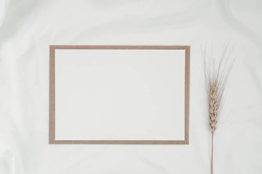 Kahverengi kağıt zarfın üzerinde beyaz kumaş üzerinde arpa çiçeği olan boş beyaz bir kağıt. Yatay boş tebrik kartının bir kopyası. Beyaz arkaplandaki el işi zarfının üst görüntüsü. Düz minimalizm yatıyordu