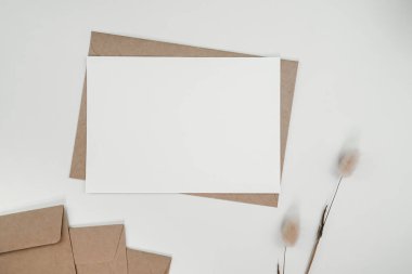 Kahverengi kağıt zarfın üzerinde boş beyaz kağıt ve tavşan kuyruğu kuru çiçek. Yatay boş tebrik kartının bir kopyası. Beyaz arkaplandaki el işi zarfının üst görüntüsü. Düz minimalizm yatıyordu