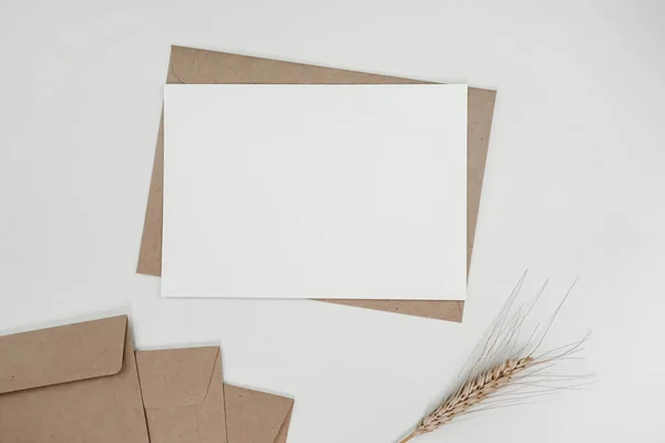 Blanco Wit Papier Bruine Papieren Envelop Met Gerst Droge Bloem — Stockfoto