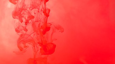Beyaz arka planda kırmızı mürekkep damlıyor. Suluboya boya soyut su sıçratır.