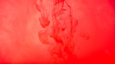 Beyaz arka planda kırmızı mürekkep damlıyor. Suluboya boya soyut su sıçratır.