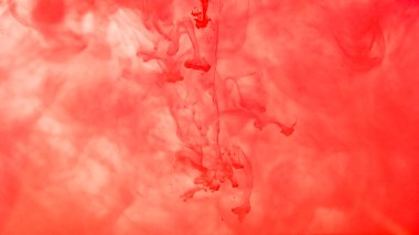 Beyaz arka planda kırmızı mürekkep damlıyor. Suluboya boya soyut su sıçratır.