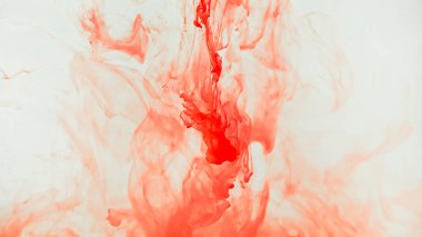 Beyaz arka planda kırmızı mürekkep damlıyor. Suluboya boya soyut su sıçratır.