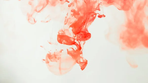 Tinta Vermelha Cair Água Fundo Branco Aquarela Pintura Splash Abstrato — Fotografia de Stock