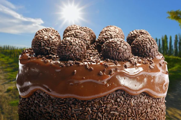 Крупным Планом Шоколадный Торт Бонбоном Природе — стоковое фото