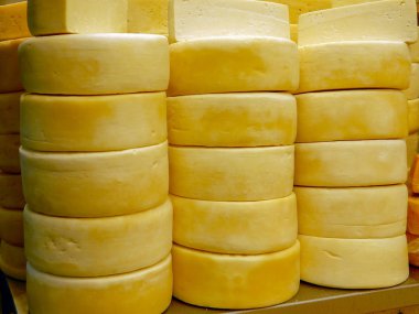 Canastra peynir bir mağaza merkezi pazar Belo Horizonte, Minas Gerais, Brezilya için raf.