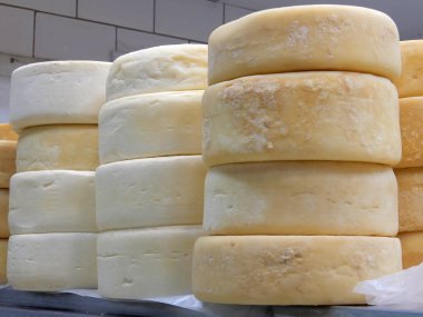 Zanaat Canastra peynir ve Minas peynir