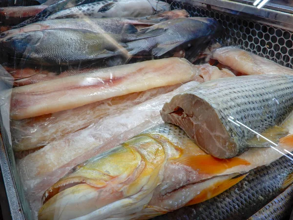 Fish Showcase Mercado Central Belo Horizonte Minas Gerais — Stock Photo, Image