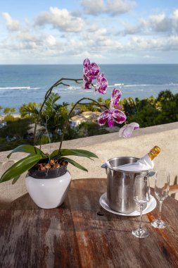 Arraial d 'Ajuda, Brezilya' nın Bahia eyaletinin Porto Seguro eyaletine bağlı bir beldedir..