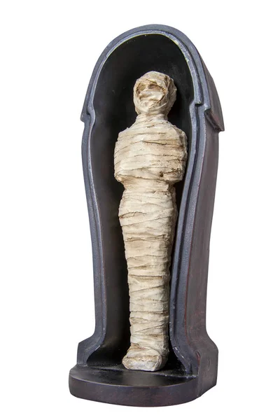 Mummy stuffed in the sarcophagus on white background — Stock Photo, Image