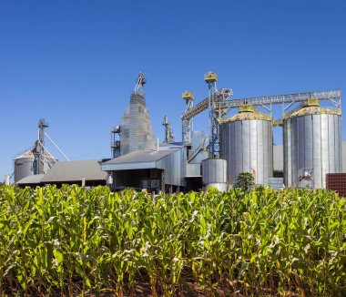 Tahıl depolama için karmaşık silo tesisatları 