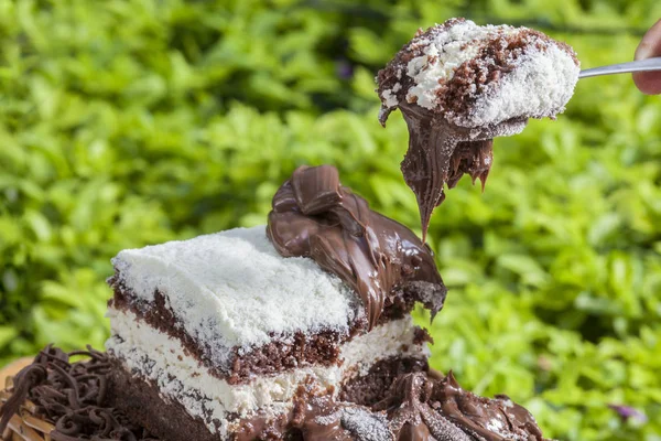 Portion de gâteau au chocolat — Photo