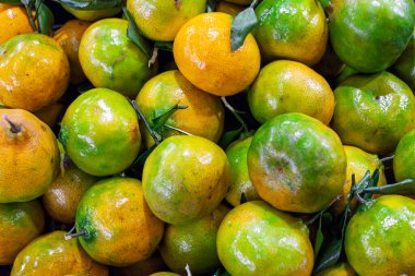 Carioca mandalina, narenciye