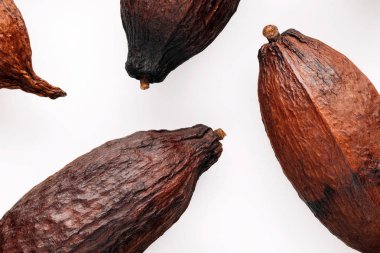 Kakao bakla beyaz bir arka plan üzerinde yaratıcı düz gıda kavramı yatıyordu.