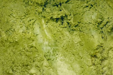 Yeşil çay matcha dondurma arka plan