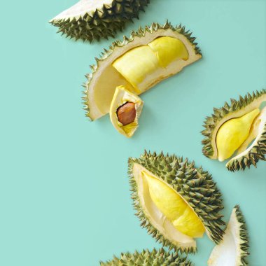 Pastel yeşil arka plan, Tayland meyvelerden kralı durian taze kesilmiş