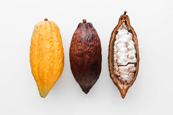 白い背景でココア ポッドは 創造的なフラットを置く食品のコンセプト — ストック写真