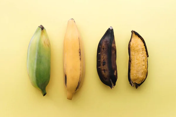 파스텔 노란색과 검은색 바나나는 행에서 배열에 Bluggoe 바나나 — 스톡 사진
