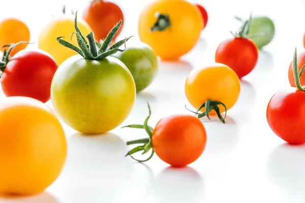 Colorful organic cherry tomatoes on a white background, Holland cherry tomato