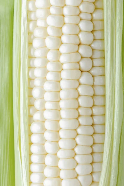Świeży Biały Słodki Odciski Białym Tle Hokkaido Czystej Białej Kukurydzy — Zdjęcie stockowe