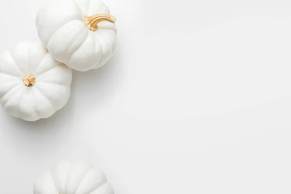 Calabazas Blancas Sobre Fondo Blanco Creativo Concepto Acción Gracias Planas —  Fotos de Stock