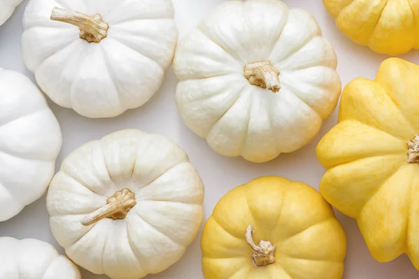 Calabazas Blancas Amarillas Sobre Fondo Blanco Creativo Concepto Acción Gracias —  Fotos de Stock