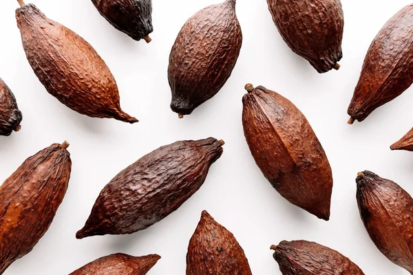 Cocoa Pod Pada Latar Belakang Putih Kreatif Datar Konsep Makanan — Stok Foto