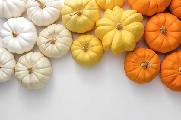 Calabazas Blancas Amarillas Anaranjadas Sobre Fondo Blanco Concepto Creativo Acción —  Fotos de Stock