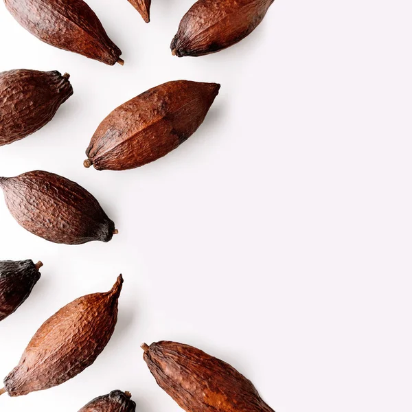 Cocoa pod — Stock Photo, Image