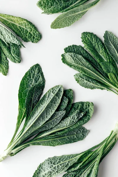 Kale — Stock Photo, Image