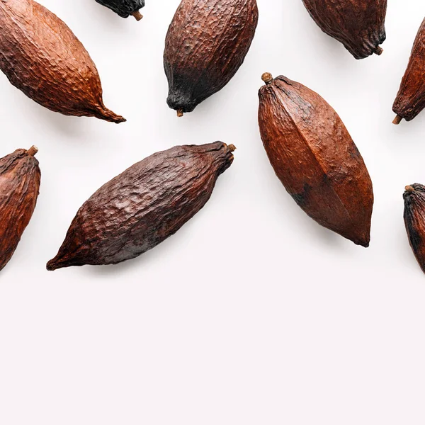 Cocoa pod — Stock Photo, Image