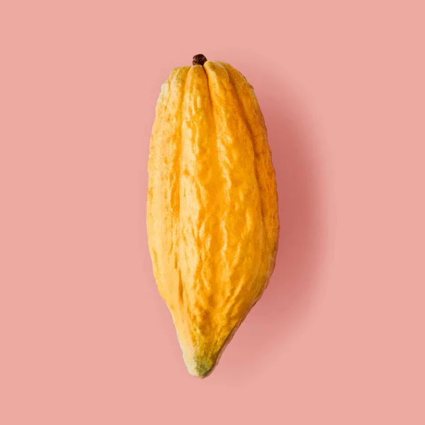 Vaina de cacao — Foto de Stock