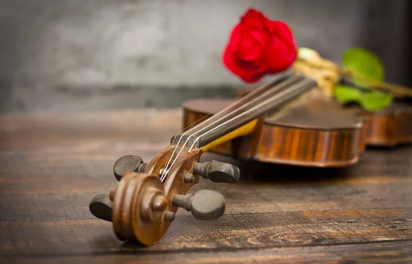 Violin Red Rose Wooden Table — Stock Photo, Image