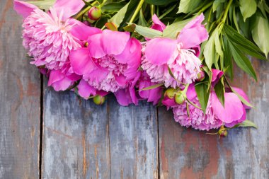 Şakayık arka plan. Pembe ve peonies metin için yer ahşap tablo. Bahar çiçek şakayık. Mutlu anneler günü. Anneler günü tebrik kartı. Anneler günü hediyesi. Kopya alanı.