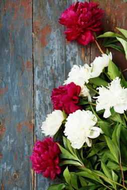 Şakayık arka plan. Pembe ve peonies metin için yer ahşap tablo. Bahar çiçek şakayık. Mutlu anneler günü. Anneler günü tebrik kartı. Anneler günü hediyesi. Kopya alanı.