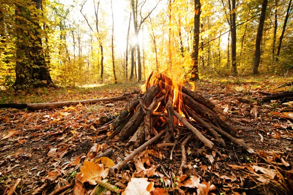 Fogueira Arde Floresta Outono — Fotografia de Stock