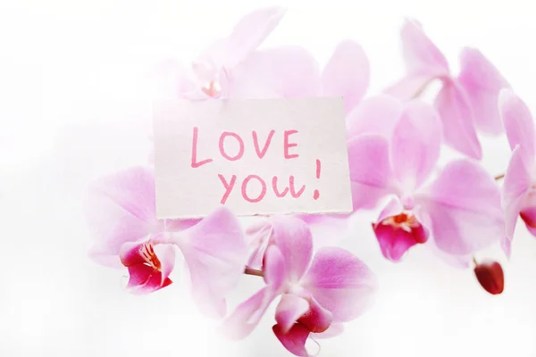 Орхидея Знаком Love You — стоковое фото