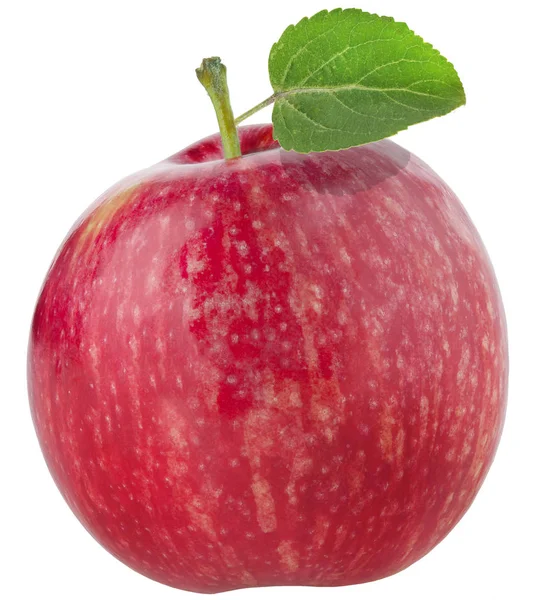 Röda Mogna Äpple Isolerad Vit — Stockfoto