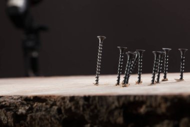 İş liderliği, takım çalışması gücü ve güven kavramı