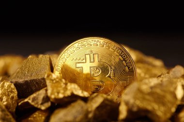 Altın Bitcoin sikke ve höyüğün altın. Bitcoin cryptocurrency. İş kavramı.