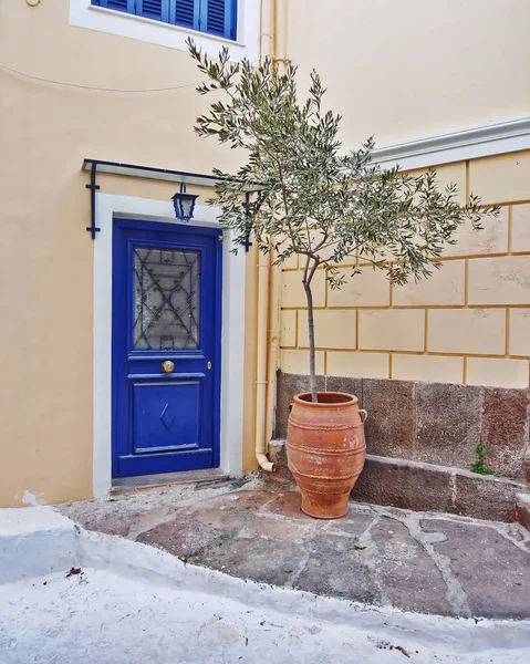 Griekenland Elegante Huis Ingang Met Olijfboom Bloempot — Stockfoto