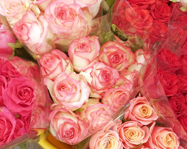 Colorful Roses Top View Natural Background — Stock Photo, Image