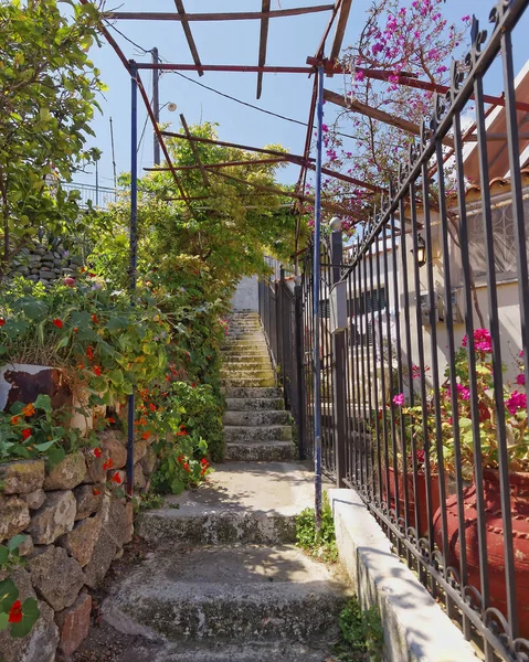 Greece Picturesque Stairs Aegean Island — Stock Photo, Image