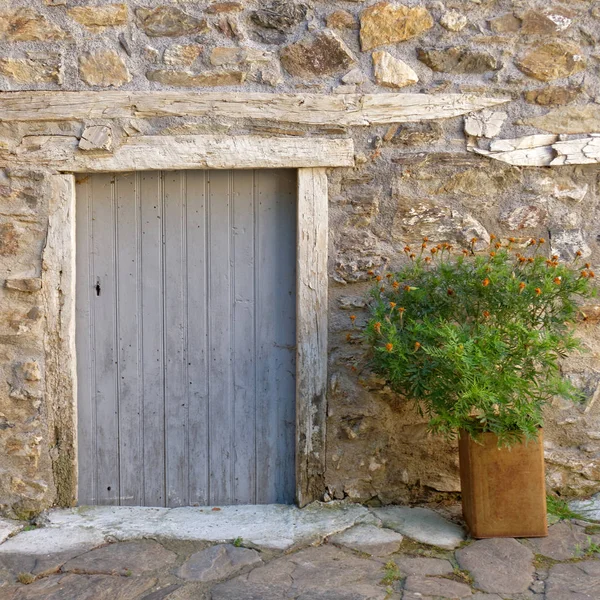 Puerta Vintage Pared Piedra Una Maceta —  Fotos de Stock