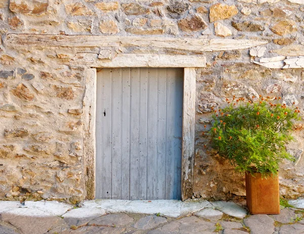 Door Flower Pot Greek Island — Stock Photo, Image