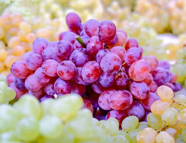 Variedade Uvas Roxas Verdes Closeup Bokeh Forte — Fotografia de Stock